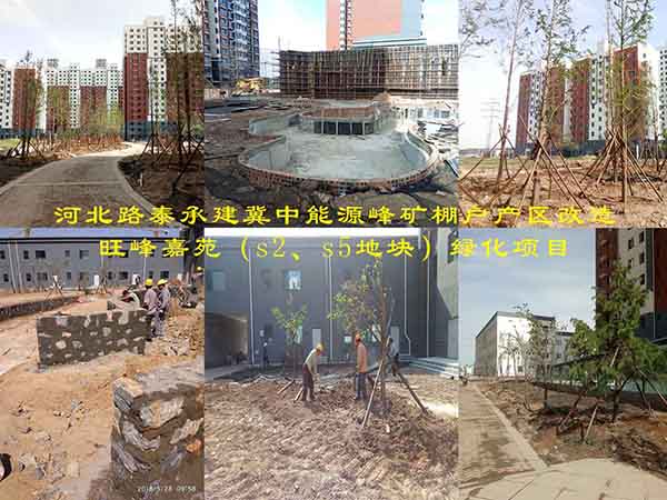 河北路泰承建冀中能源峰礦棚戶產區改造旺峰嘉苑（s2、s5地塊）綠化項目有序施工中